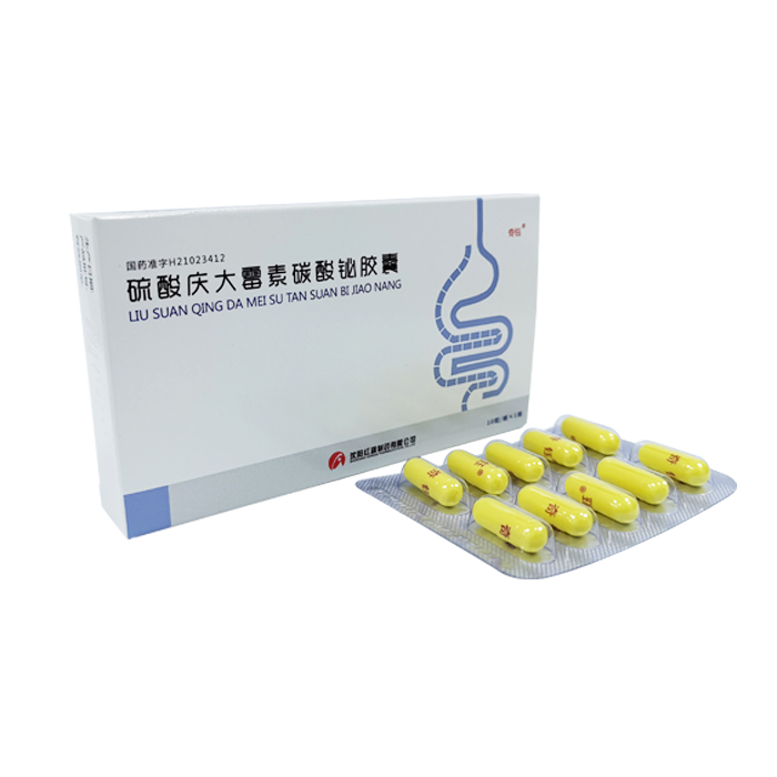 Gentamycin Sulfate and Bismuth Subcarbonate Capsules